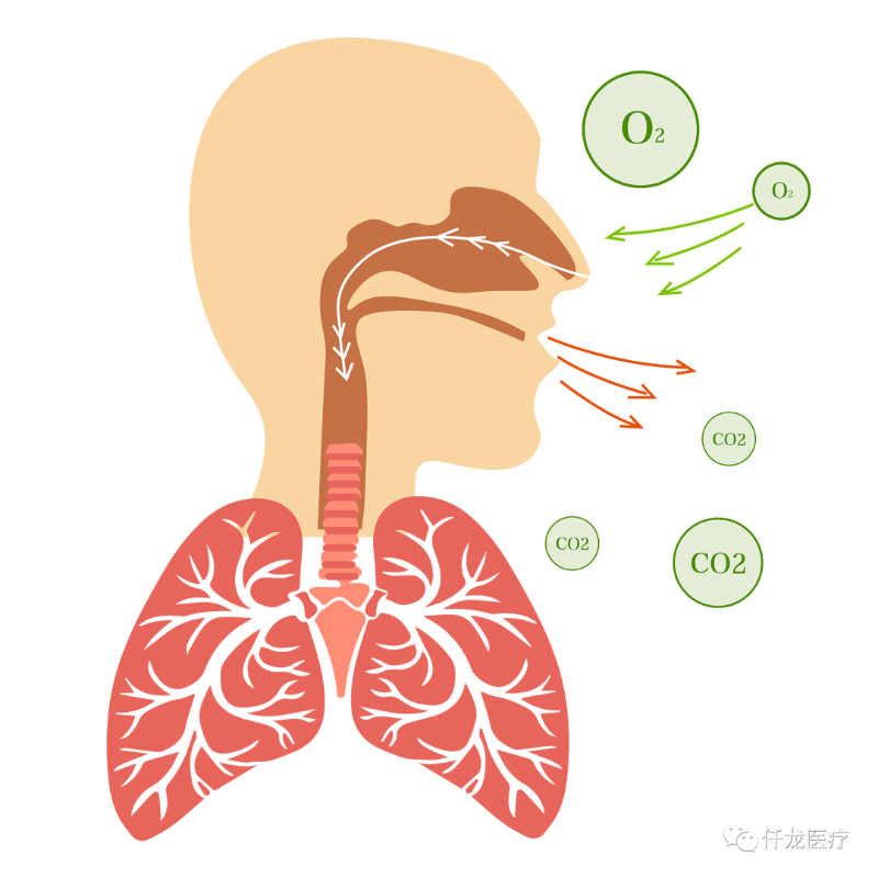 氧气与身体的不解之缘